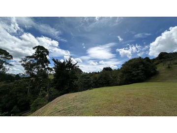 Venta lote Alto de Palmas