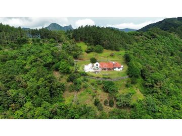 Venta de Propiedad en Altos del María | Casa + 42,000 m² ¡OPORTUNIDAD!
