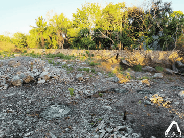 TERRENO EN MOTUL
