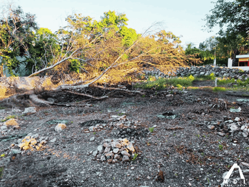 TERRENO EN MOTUL