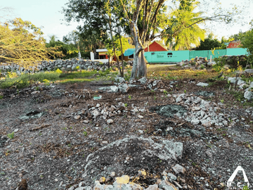 TERRENO EN MOTUL