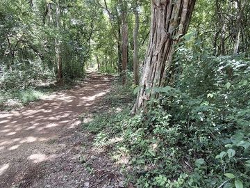 Terreno en Venta, 2 Ha sin construcciones, Valladolid-Temozon, Yuc.