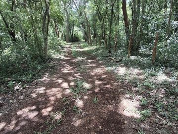 Terreno en Venta, 2 Ha sin construcciones, Valladolid-Temozon, Yuc.