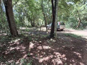 Terreno en Venta, 2 Ha sin construcciones, Valladolid-Temozon, Yuc.
