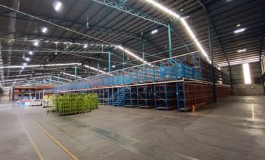 Disewakan Cepat Gudang Cakung Murah Siap Pakai