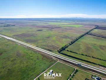 VENTA MACIZO DE 40 HA SOBRE AUTOVIA FRUET