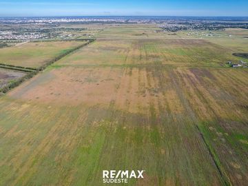 VENTA MACIZO DE 40 HA SOBRE AUTOVIA FRUET