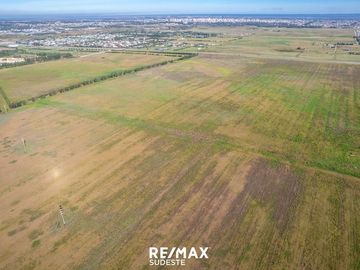VENTA MACIZO DE 40 HA SOBRE AUTOVIA FRUET