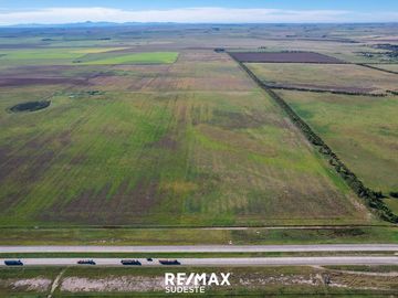 VENTA MACIZO DE 40 HA SOBRE AUTOVIA FRUET