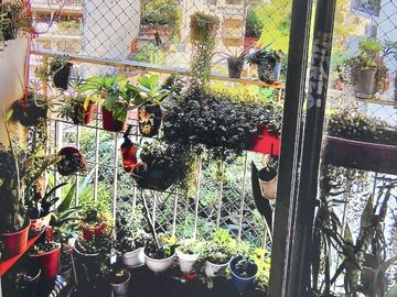 DEPARTAMENTO 2 AMB. 1 DORMITORIO, LIVING-COMEDOR, BALCON AL C/F
