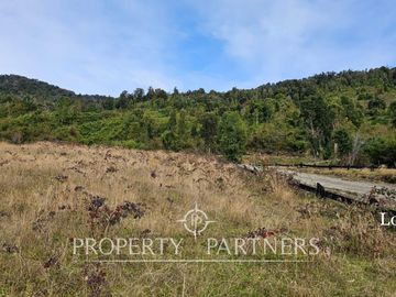 Oportunidad! Exclusivas  Parcelas  Lago Riñihue, Ribera Sur Los Lagos. Venta Sin Comisión