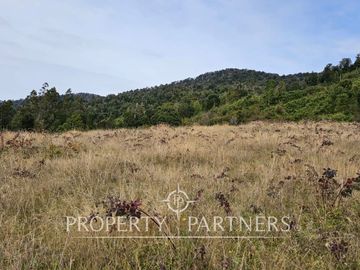 Oportunidad! Exclusivas  Parcelas  Lago Riñihue, Ribera Sur Los Lagos. Venta Sin Comisión