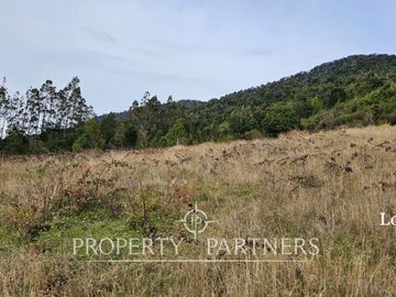 Oportunidad! Exclusivas  Parcelas  Lago Riñihue, Ribera Sur Los Lagos. Venta Sin Comisión