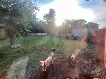 CASA VENTA 3 AMB A TERMINAR V. DEL PINO FOND LIBRE