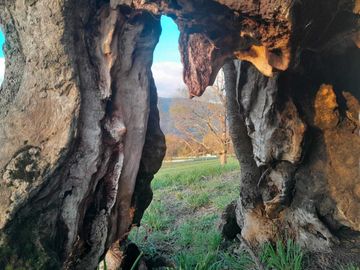 Parcela en venta en LOS LAGOS