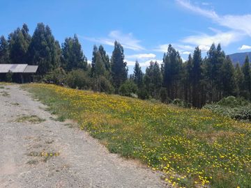 Parcela en venta en LOS LAGOS