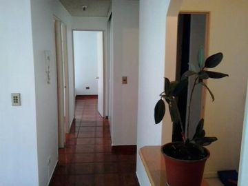 Avenida Santa Rosa/Curicó - Departamento - Venta