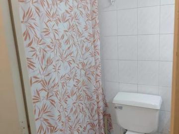 Avenida Santa Rosa/Curicó - Departamento - Venta