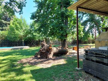 Venta Casa Multifamiliar o Quinta 2000 m2 -Delviso