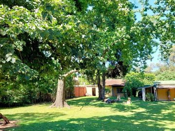 Venta Casa Multifamiliar o Quinta 2000 m2 -Delviso