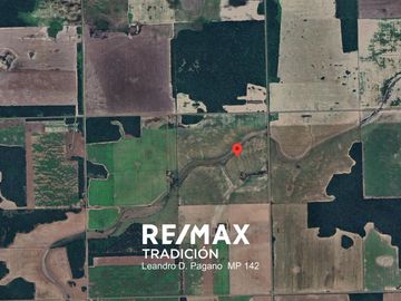 Campo Agricola en Venta - 100has Colonia J.Marmol