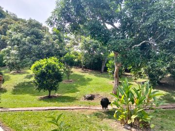 Casa Campestre En Parcelacion Privada - La Mesa