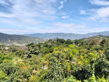 Casa Campestre En Parcelacion Privada - La Mesa