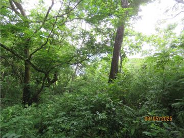 SEA CONFIABLE VENDE TERRENO EN SAN CARLITOS DAVID CHIRIQUI