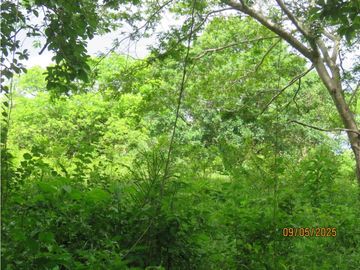 SEA CONFIABLE VENDE TERRENO EN SAN CARLITOS DAVID CHIRIQUI