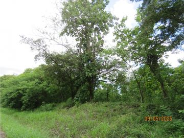 SEA CONFIABLE VENDE TERRENO EN SAN CARLITOS DAVID CHIRIQUI