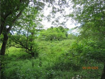 SEA CONFIABLE VENDE TERRENO EN SAN CARLITOS DAVID CHIRIQUI