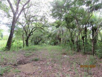 SEA CONFIABLE VENDE TERRENO EN SAN CARLITOS DAVID CHIRIQUI