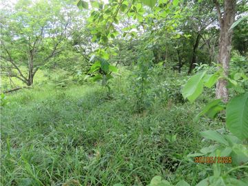 SEA CONFIABLE VENDE TERRENO EN SAN CARLITOS DAVID CHIRIQUI
