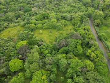 SEA CONFIABLE VENDE TERRENO EN SAN CARLITOS DAVID CHIRIQUI