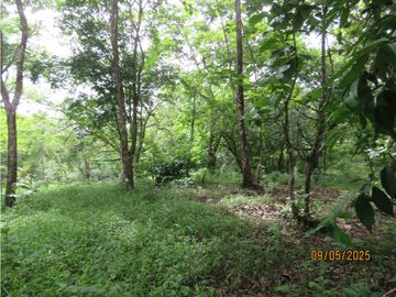 SEA CONFIABLE VENDE TERRENO EN SAN CARLITOS DAVID CHIRIQUI