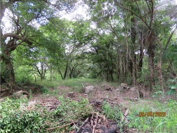 SEA CONFIABLE VENDE TERRENO EN SAN CARLITOS DAVID CHIRIQUI