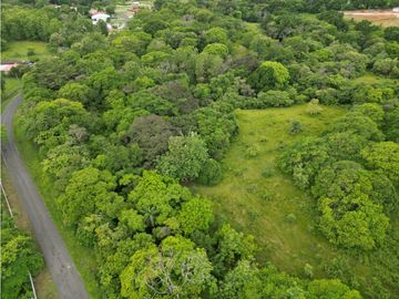 SEA CONFIABLE VENDE TERRENO EN SAN CARLITOS DAVID CHIRIQUI