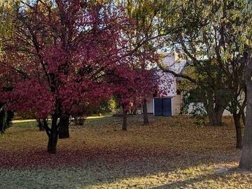 VENTA CASA QUINTA,  SAN RAFAEL