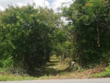 Venta de Terreno Excelente Inversión en Motul, Mérida