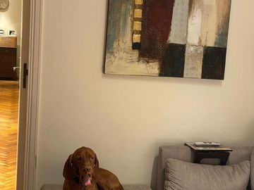 Venta Departamento 6 ambientes en Belgrano