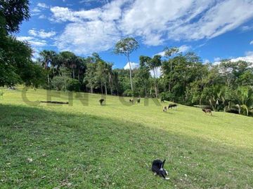 VENTA DE TERRENO AGRARIO EN PROVINCIA TARAPOTO, LAMAS, SAN MARTIN