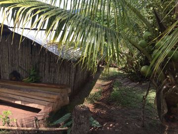VENTA DE TERRENO AGRARIO EN PROVINCIA TARAPOTO, LAMAS, SAN MARTIN
