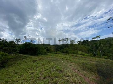 VENTA DE TERRENO AGRARIO EN PROVINCIA TARAPOTO, LAMAS, SAN MARTIN