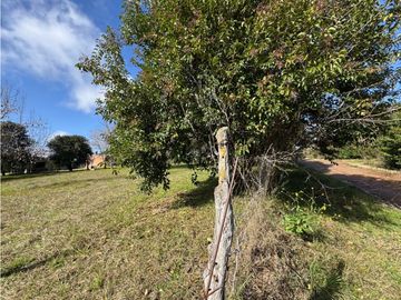 Vendo Casa Quinta en Concepción del Uruguay, Entre Ríos