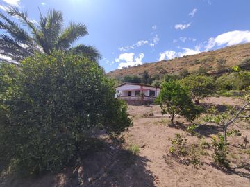 Venta terreno Guayllabamba, árboles frutales cerca al zoológico
