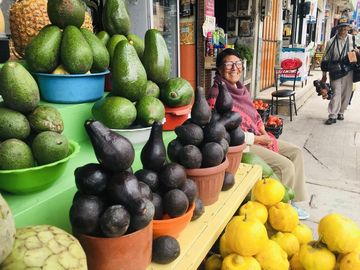 Venta terreno Guayllabamba, árboles frutales cerca al zoológico