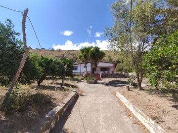 Venta terreno Guayllabamba, árboles frutales cerca al zoológico