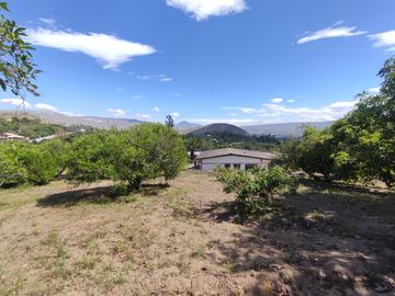 Venta terreno Guayllabamba, árboles frutales cerca al zoológico