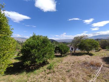 Venta terreno Guayllabamba, árboles frutales cerca al zoológico