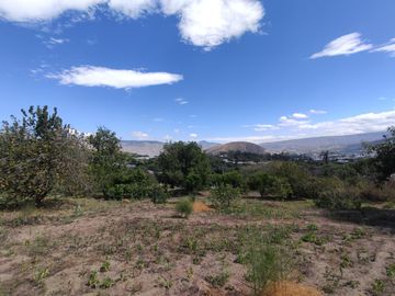 Venta terreno Guayllabamba, árboles frutales cerca al zoológico